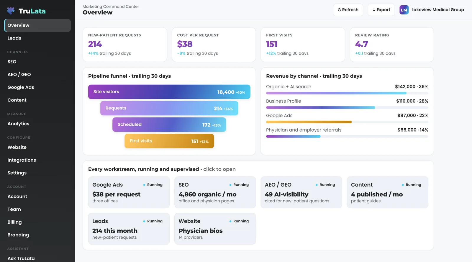 TruLata Overview for a fictional physician practice, Lakeview Medical Group: new-patient requests, cost per request, first visits and review rating across the top, a funnel from site visitors to first visits, revenue by channel, and a card for each workstream marked Running.